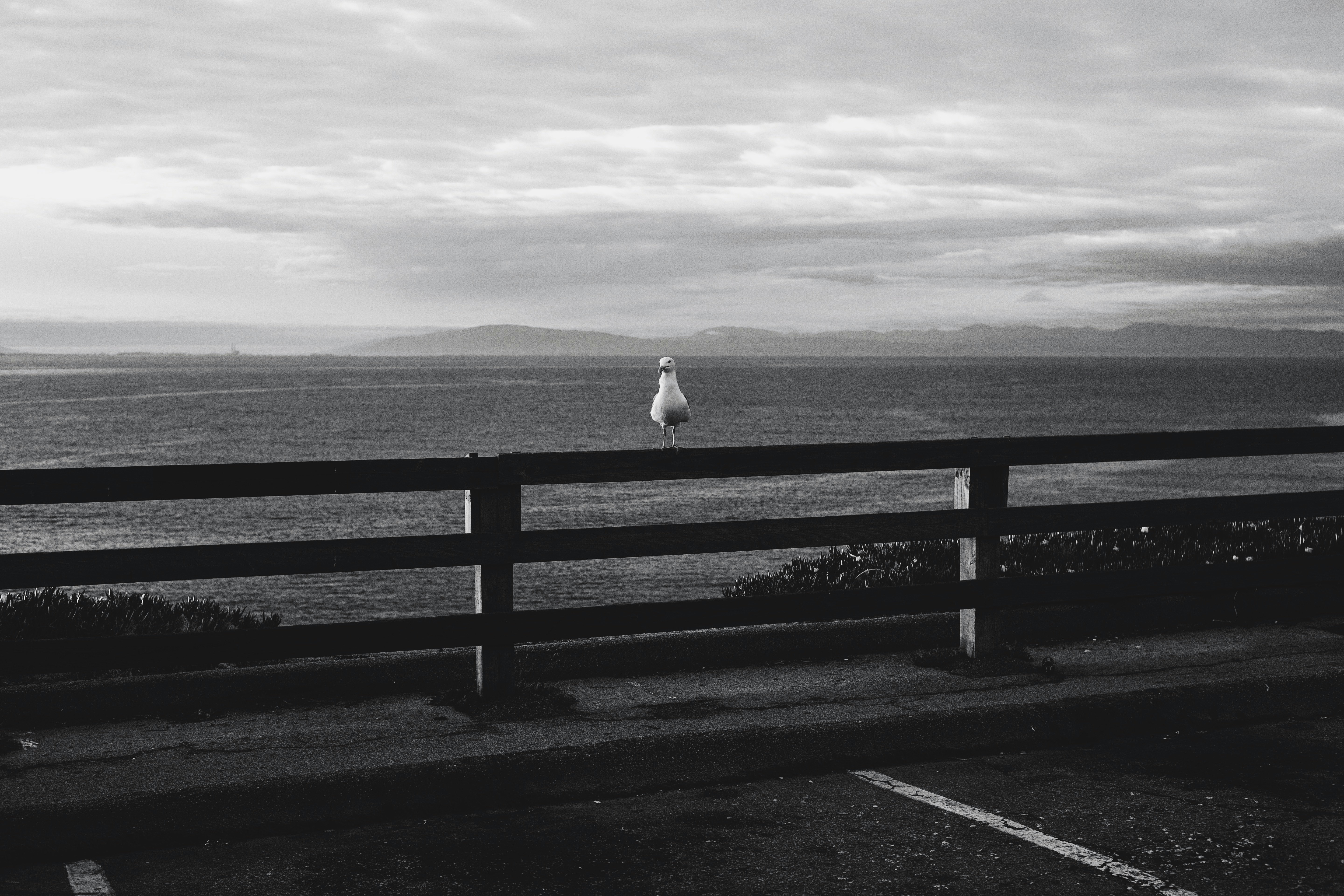 grayscale photo of a woman in white dress standing on a wooden fence